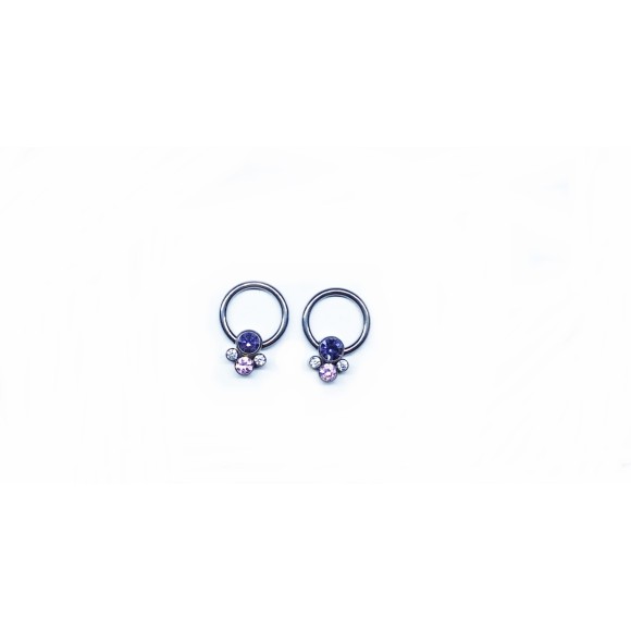 PIERCING CAPTIVE 8mm ORNAMENTO AMETISTA - TITÂNIO 2 Unidades